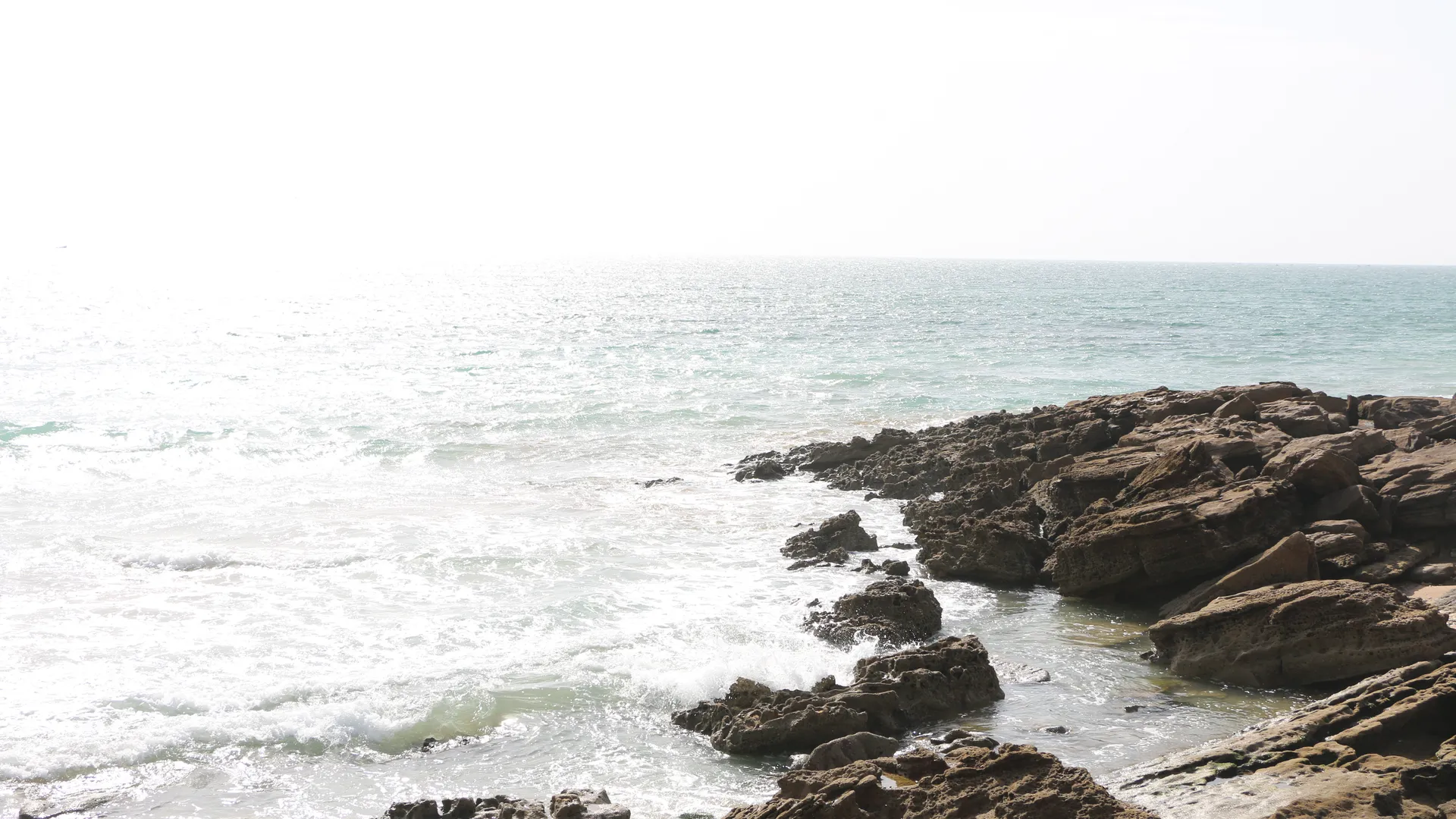 Côte rocheuse de Taghazout sous l'écume — la saison surf marocaine est dictée par les dépressions atlantiques d'octobre à février