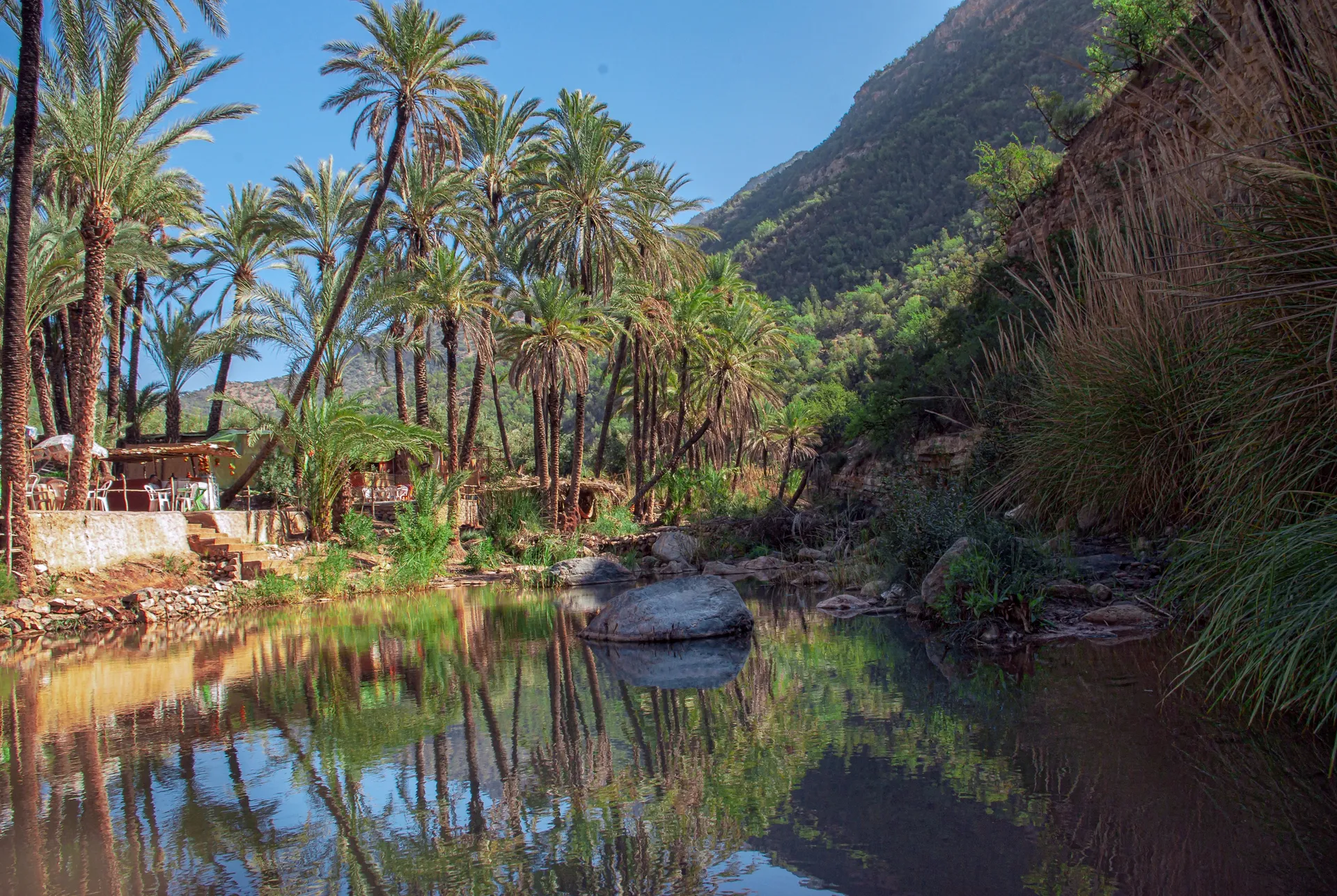 Paradise Valley in Souss-Idaoutanane — gorges and natural pools in the heart of a palm grove, a classic excursion from Taghazout Bay