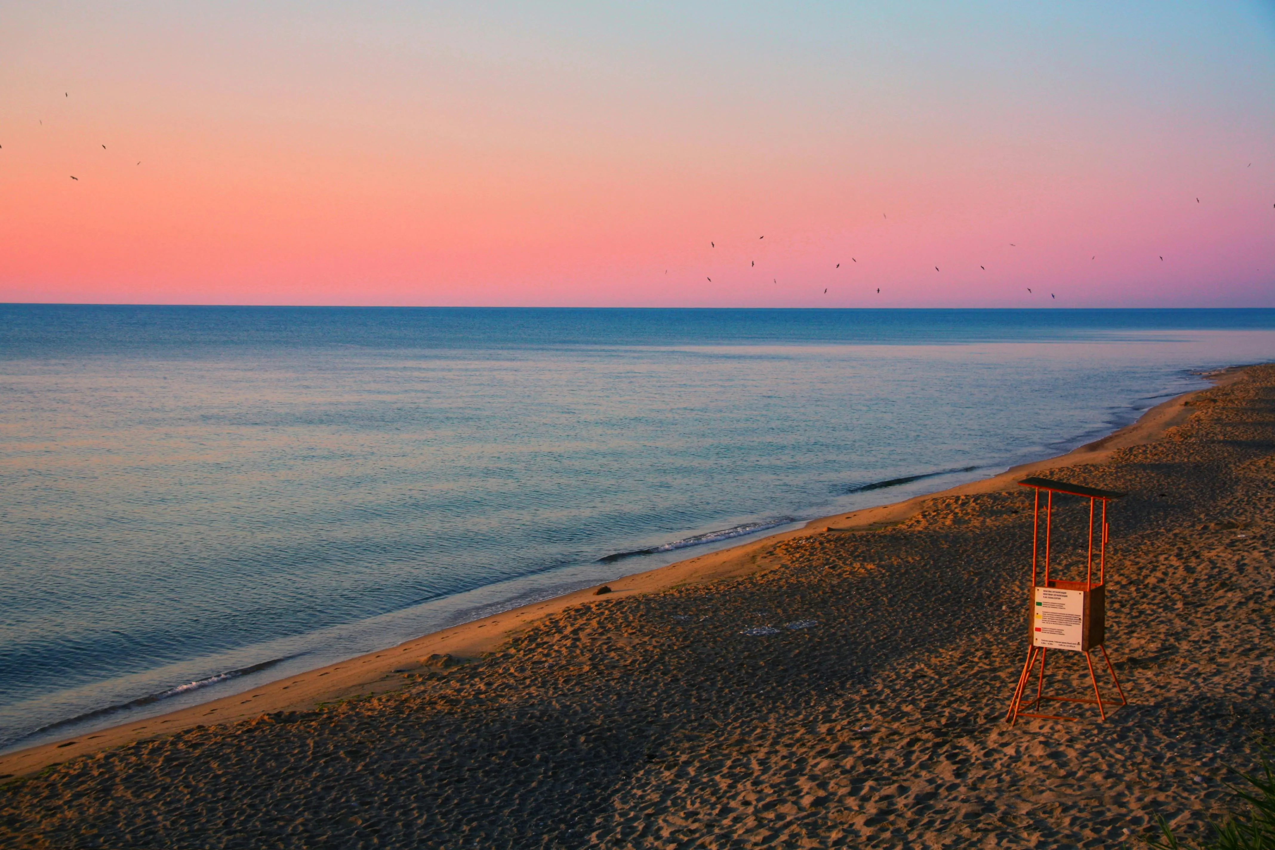 A small, glassy summer wave in Morocco at dawn — empty beach, soft light, a single surfer paddling out