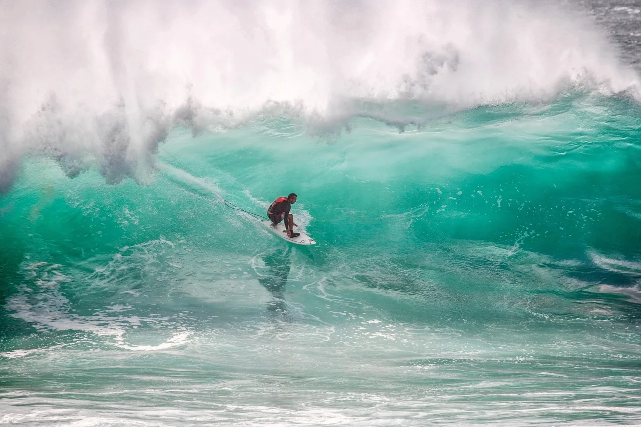 Surfeur dans la pochette d'une vague droite — manœuvre engagée sur le mur, configuration recherchée à Anchor Point