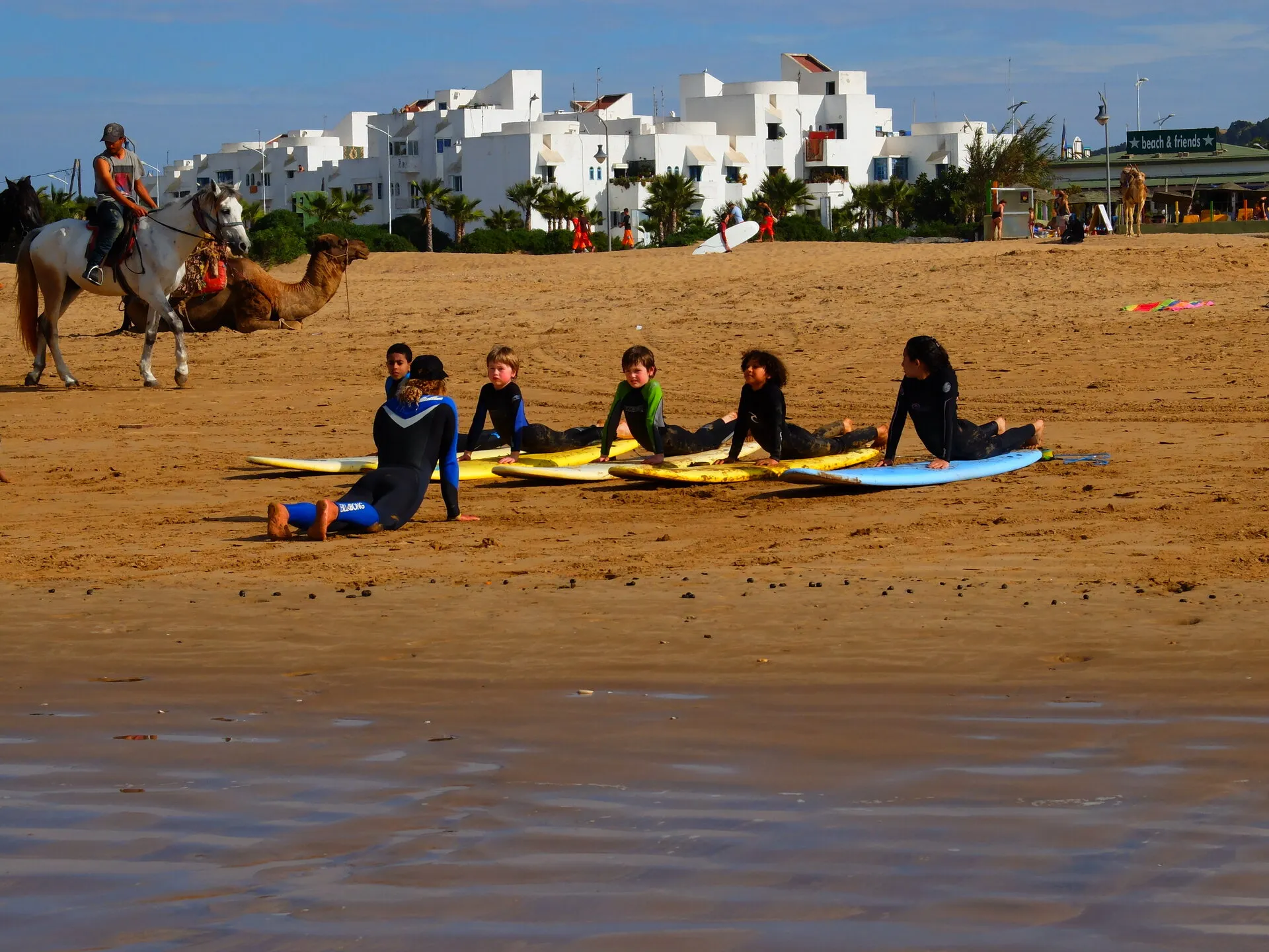 Surfboards lined up on the sand of a Moroccan Atlantic beach — the gear offered by the Taghazout Bay hotels' partner schools
